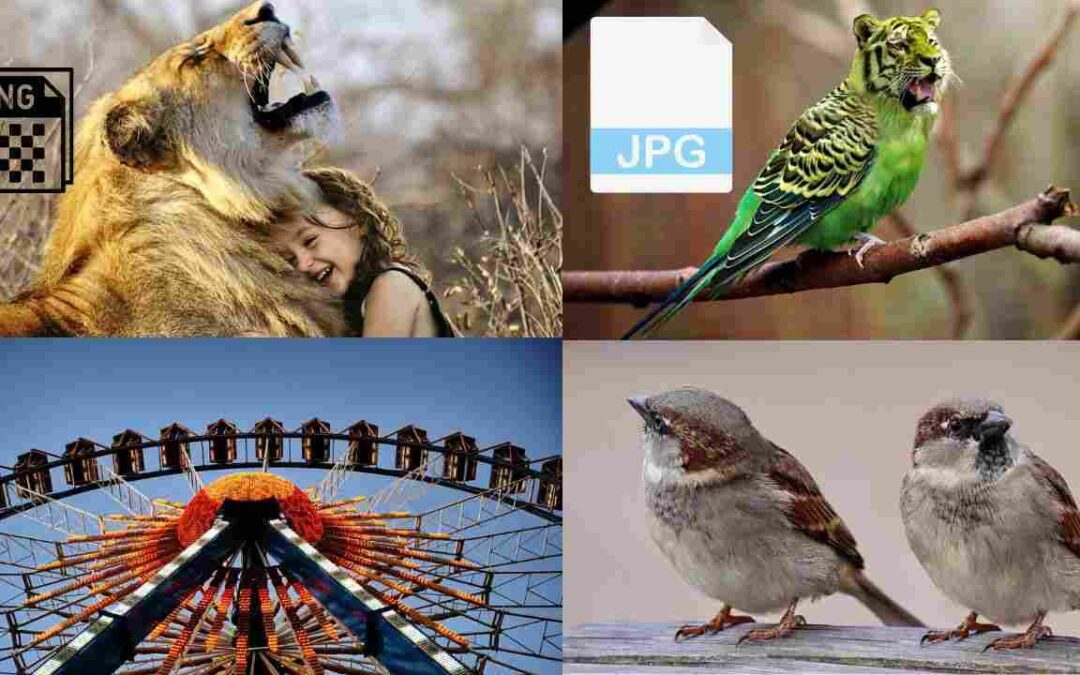 Herramientas para Comprimir Imágenes sin Perder Calidad