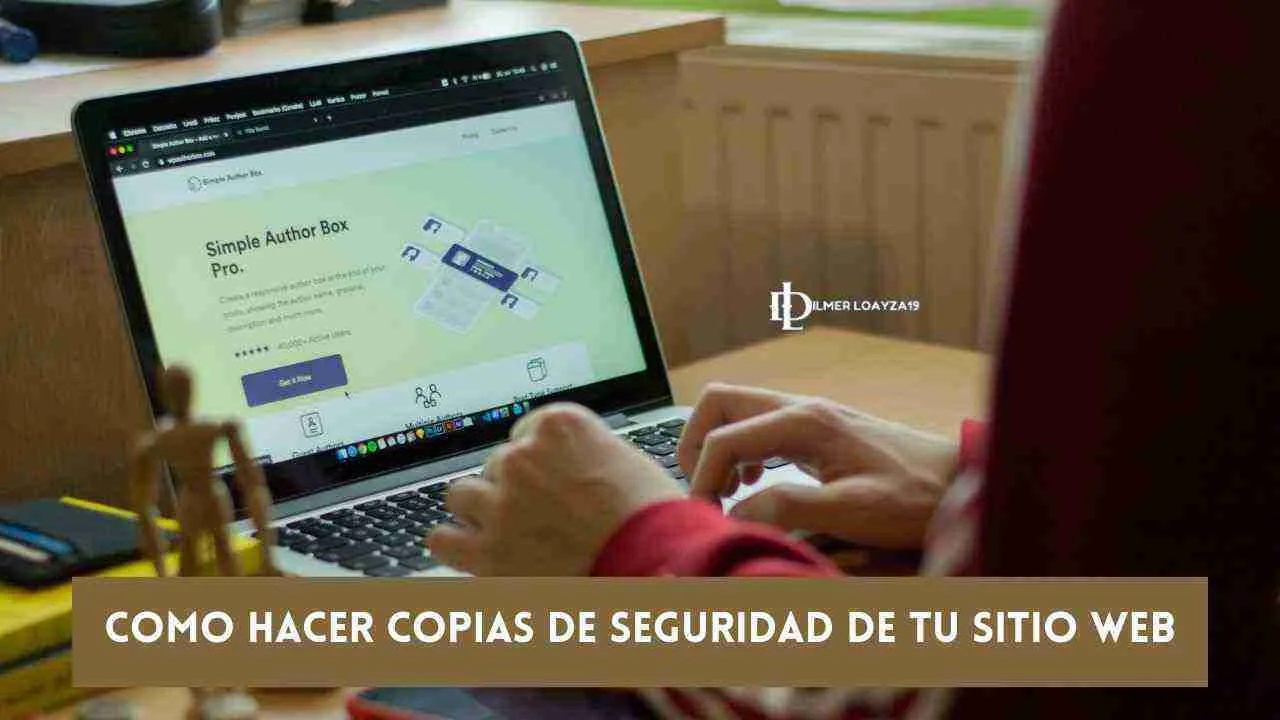 Cómo hacer copias de seguridad en WordPress